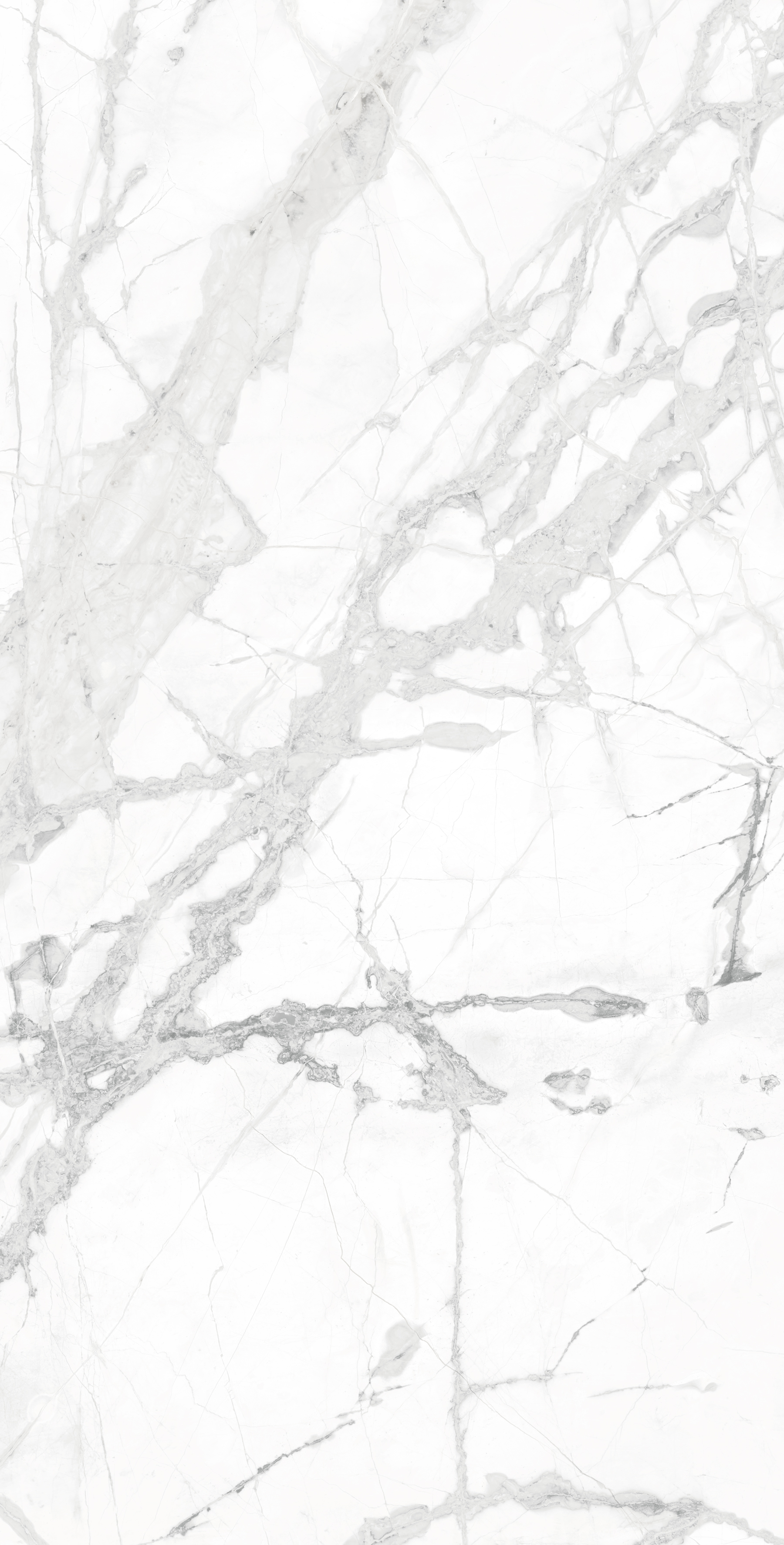 CR4023-A Diverso White Carving 60x120 Arcadia Ceramica фото 3
