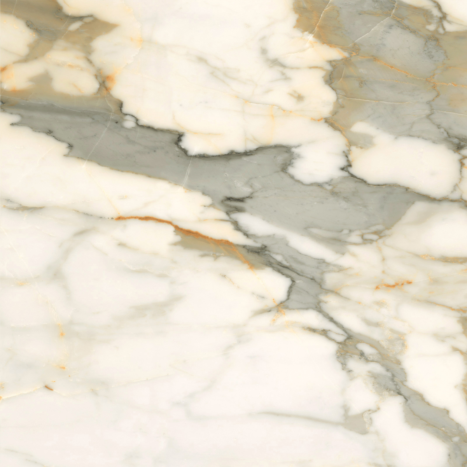 6060CBO55P Calacatta Borghini 60x60 LCM
