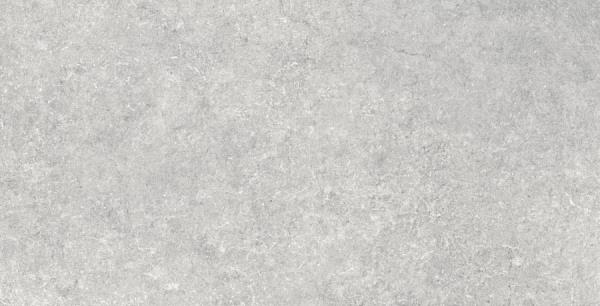 N12031 Sandstone Gris Matt 60х120 Neodom