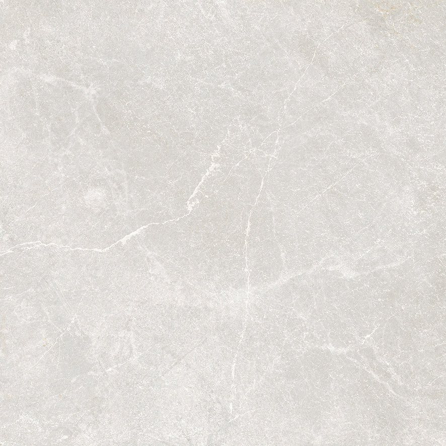 Rocky Bianco PRO светло-серый матовый R10GR 60х60 Laparet