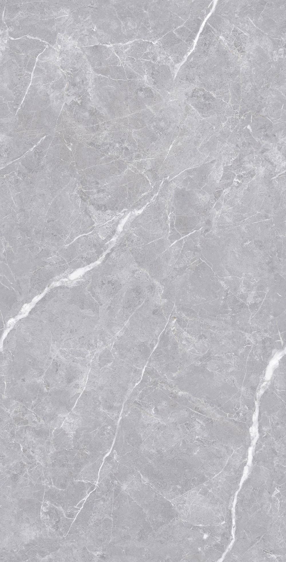 Luanda Polished Silver Carving 60x120 Realistik фото 4