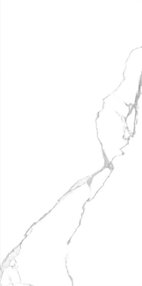 GT120600203MR Marmo Белый 60x120 Global Tile