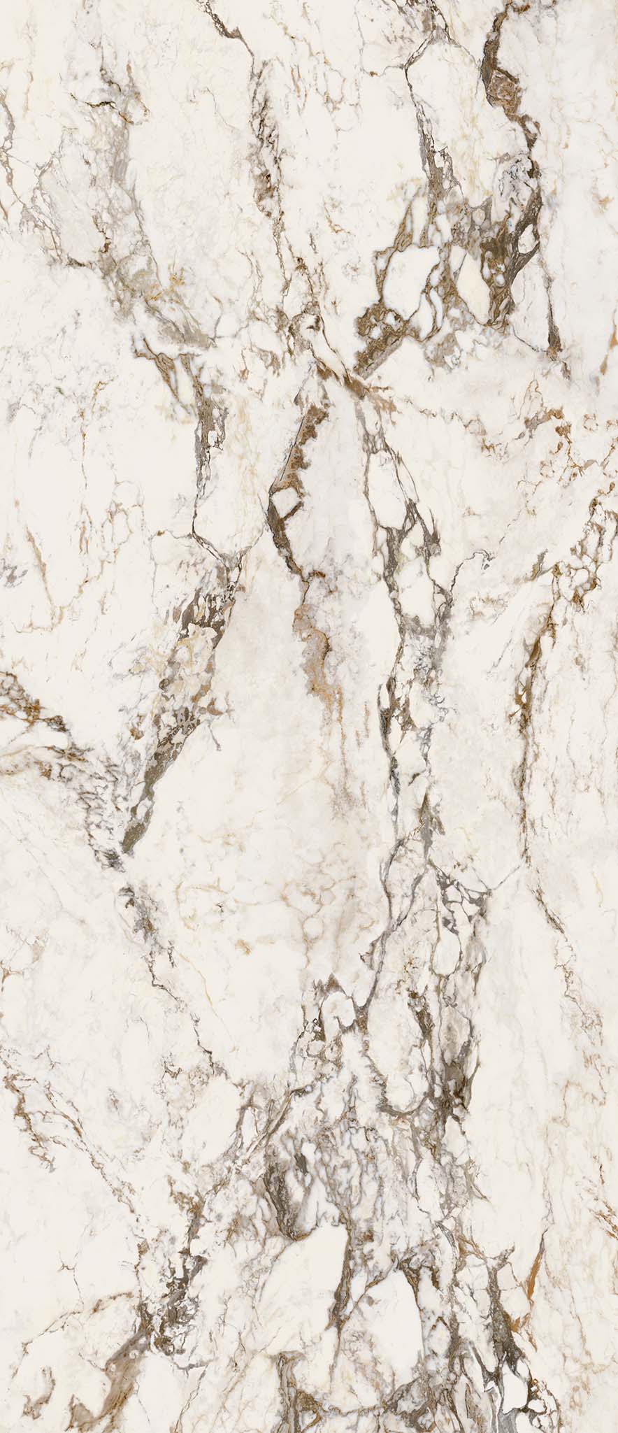 EB1A Breccia Tortona Lap RT 120x278 Keope