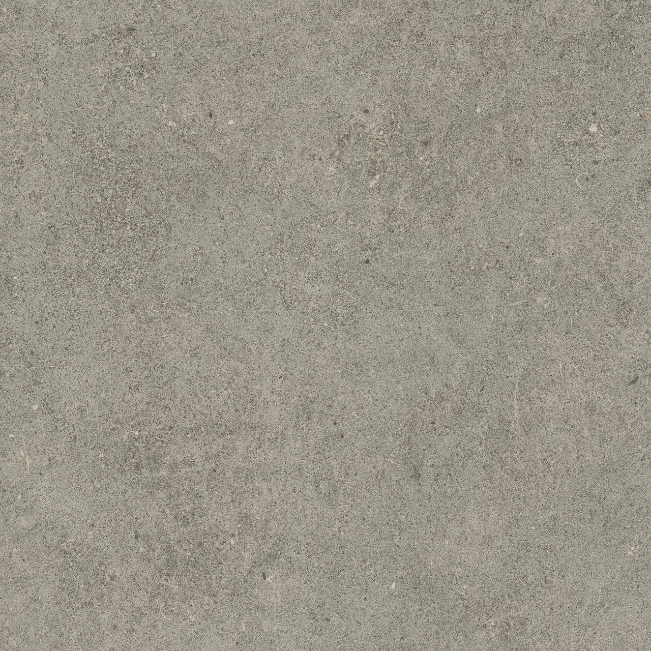 610010005836 Forte dei Marmi Rock Lunar Grey Lastra 20mm 60x60 Atlas Concorde Russia
