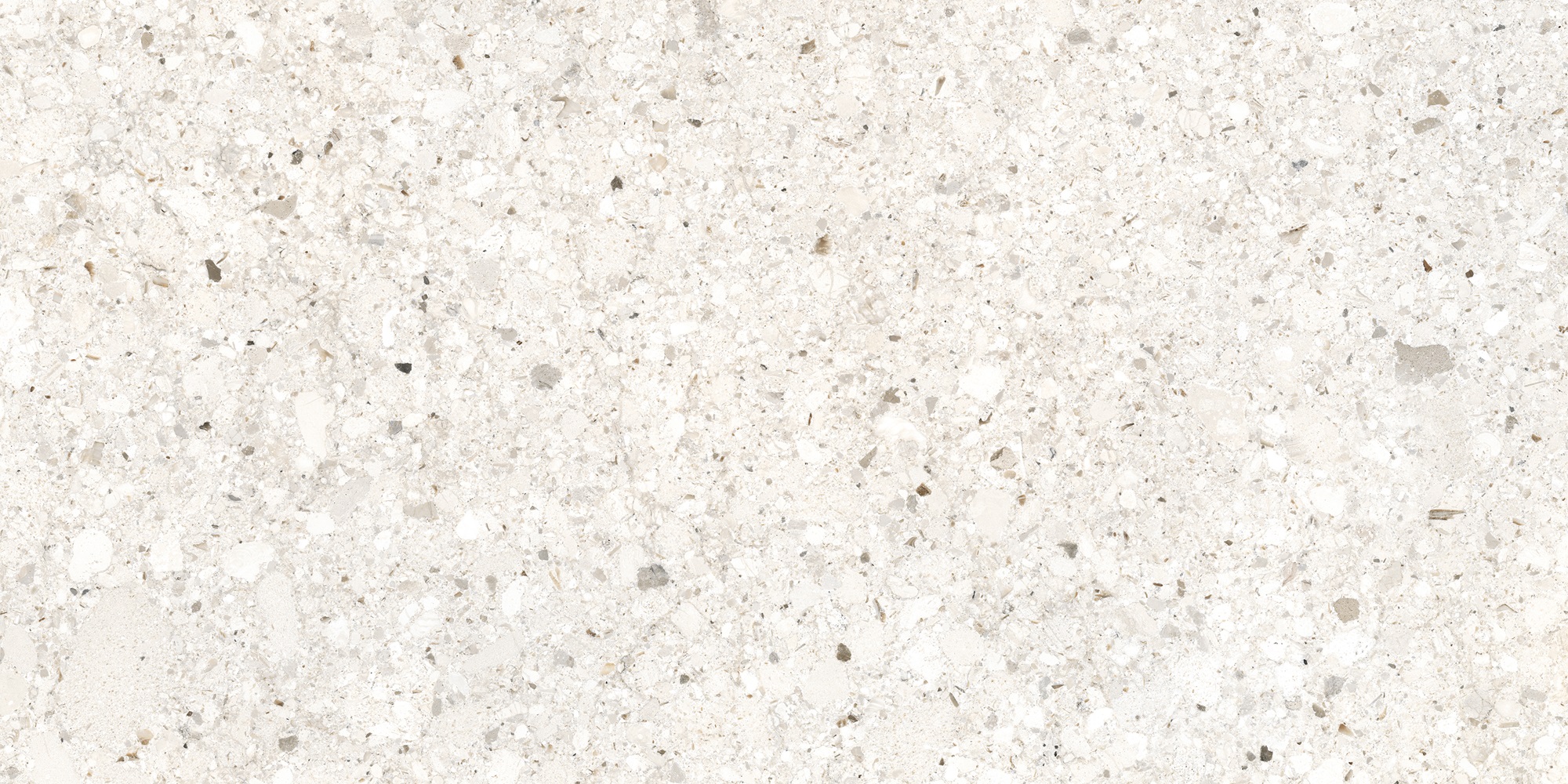 K958027R0001VTER BiancoRomano Слоновая Кость Матовый R10A Ректификат 60x120 Vitra фото 5