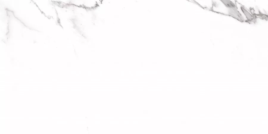 Carrara Rect матовая 60x120 Prime Ceramics