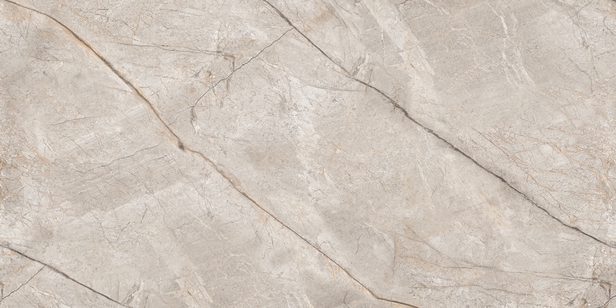 N80016 Silver Stone Carving 60x120 Neodom