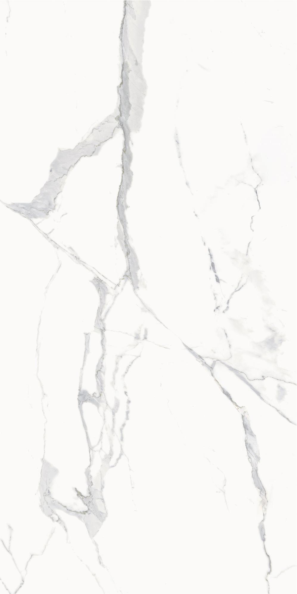 610010002831 Stellaris Statuario White Nat Ret 60x120 Italon
