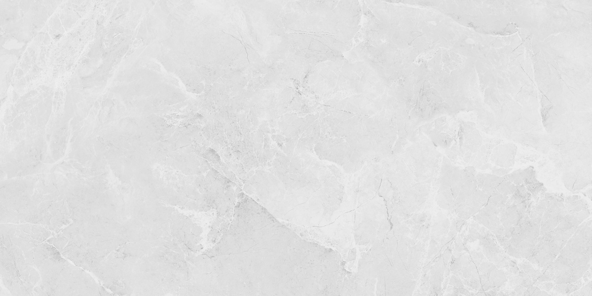 LP6012G0231R Berna Silver светло-серый матовый 59,5х119,1 Laparet