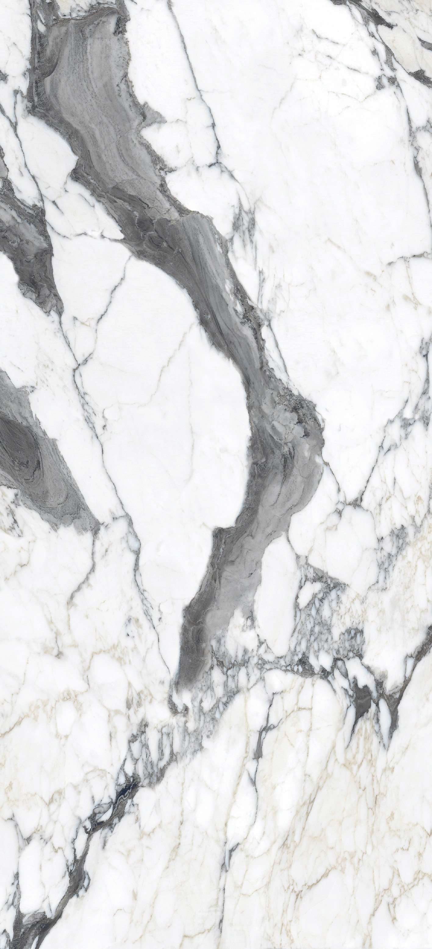 765697 Bijoux Calacatta Altissimo Glossy 6mm 120x280 Rex Ceramiche фото 7