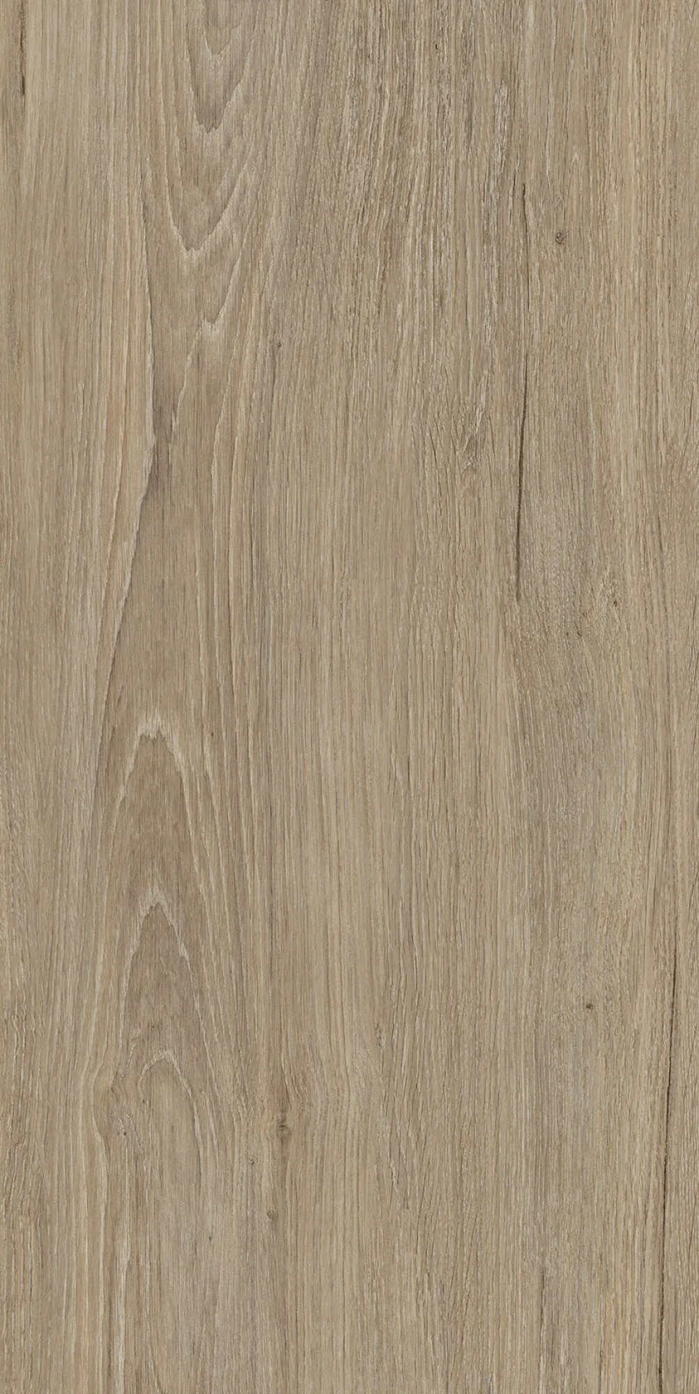 40683 Verbier Honey 4D/50X100X2/A/R 50x100 Peronda фото 4