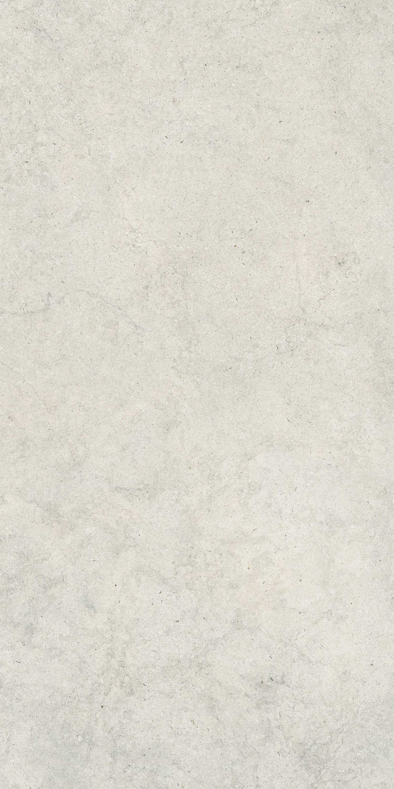 610010004073 Саленто Уайт Рет 60x120 ColiseumGres фото 2