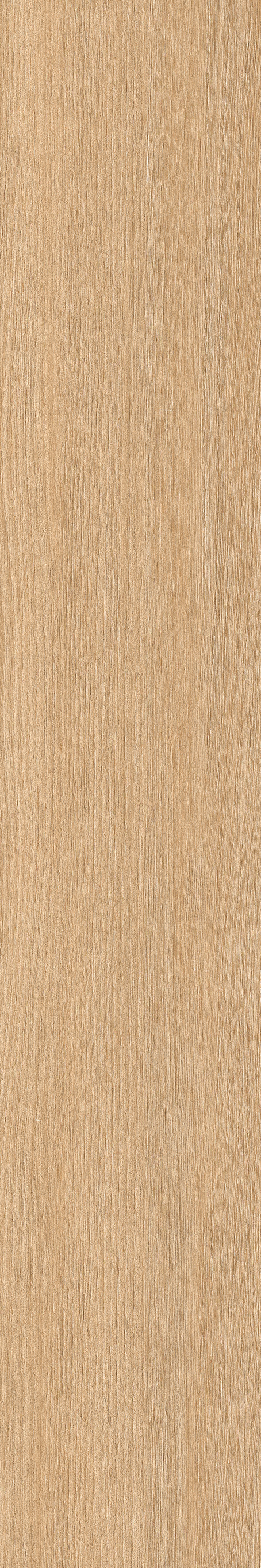 Poeme Roble 120x20 Keraben фото 4