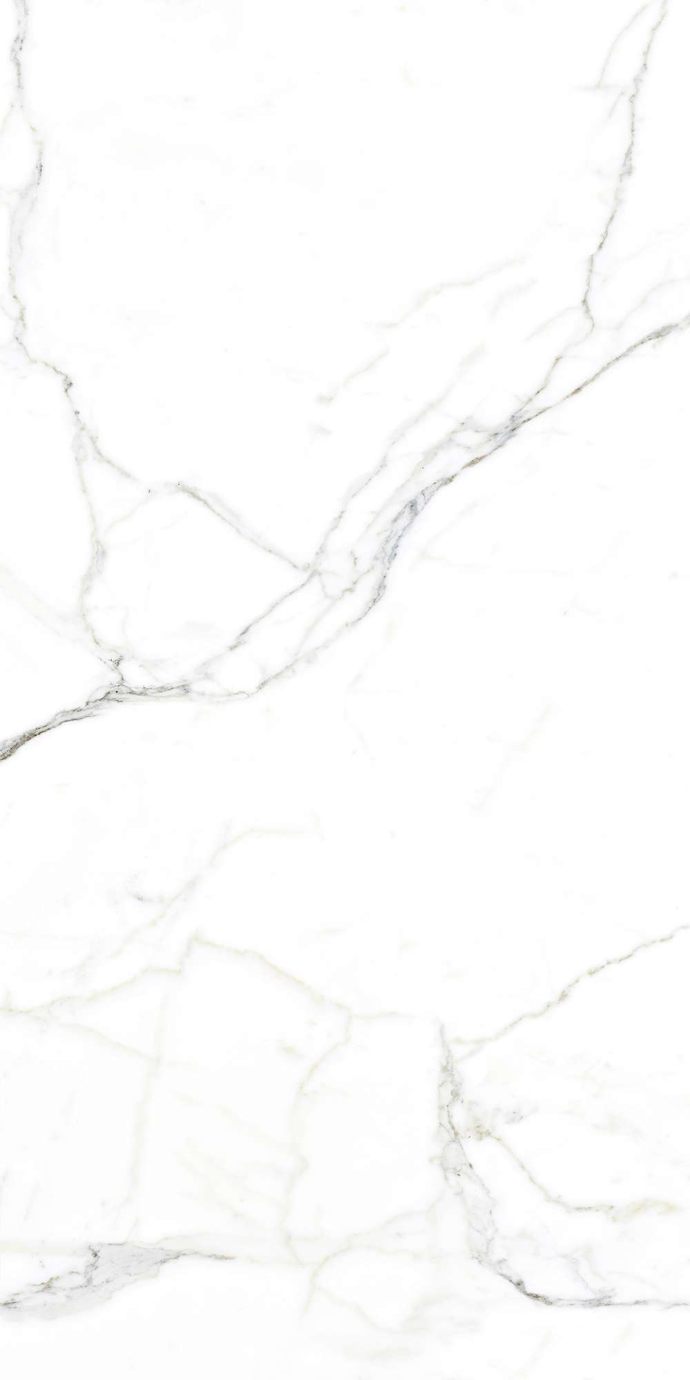 FP1002-A Luce Statuario Full Polished 60x120 Arcadia Ceramica