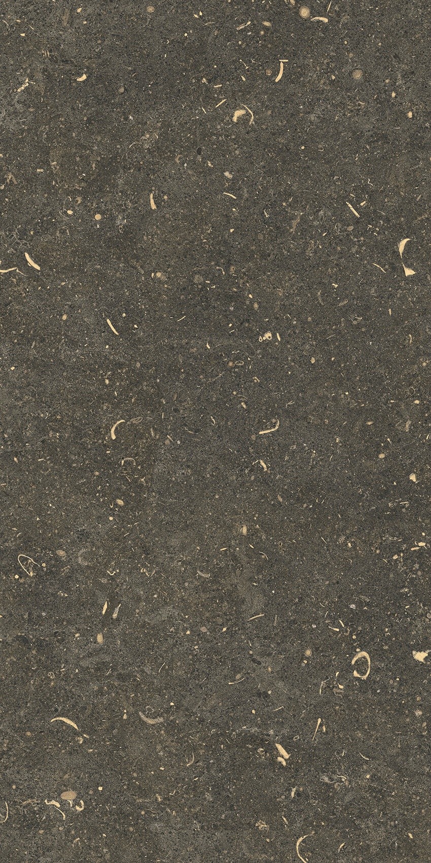 785491 Rinascenza Arena Platino Matte 30x60 Casa Dolce Casa фото 10