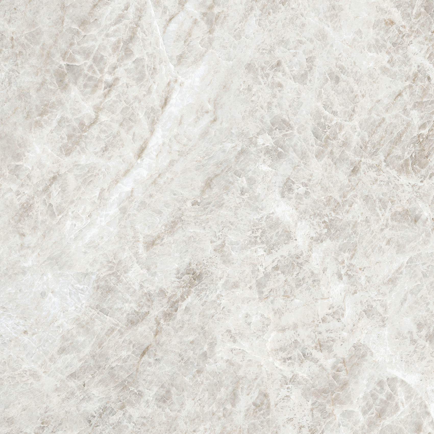 784524 Iconic Life Rice Yamuna Matte 60x60 Cerim фото 14