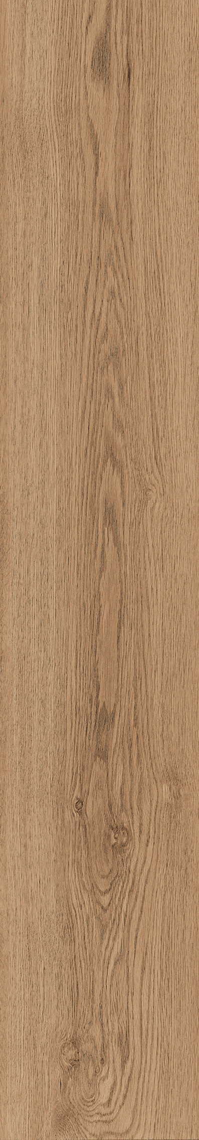 1106 Modena Brown Mate 120x20 Artcer