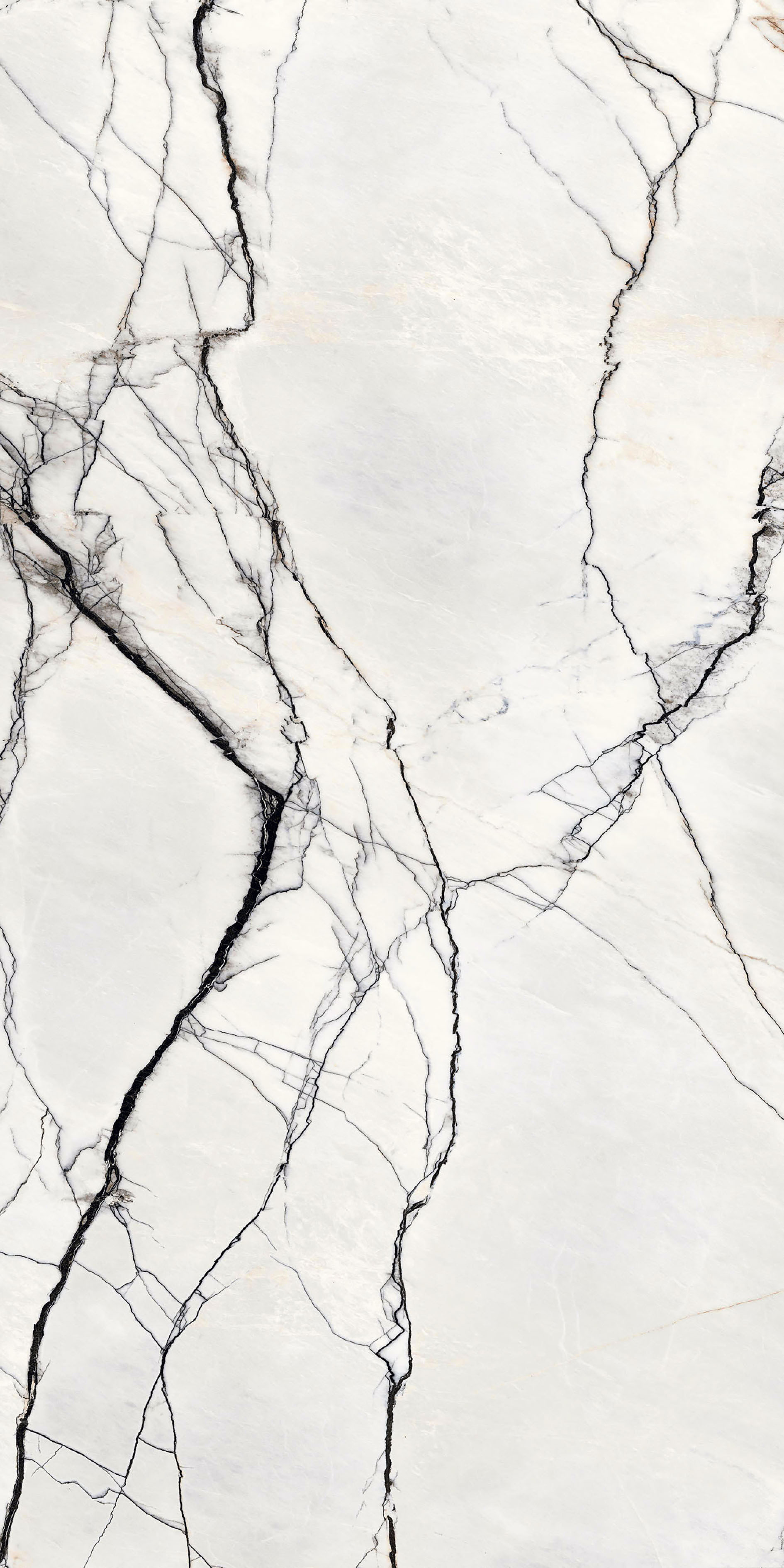 765503 B&W Breach High-Glossy 6mm 160x320 Floor Gres