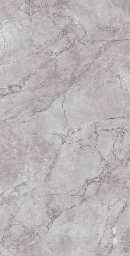 CR4012-A Arctic Grey Carving 60x120 Arcadia Ceramica