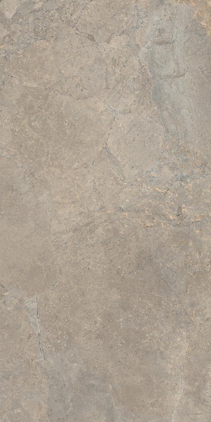 LGXAL35 Anthology 03 Earth Nat. RT 9.5mm 60x120 Lea Ceramiche