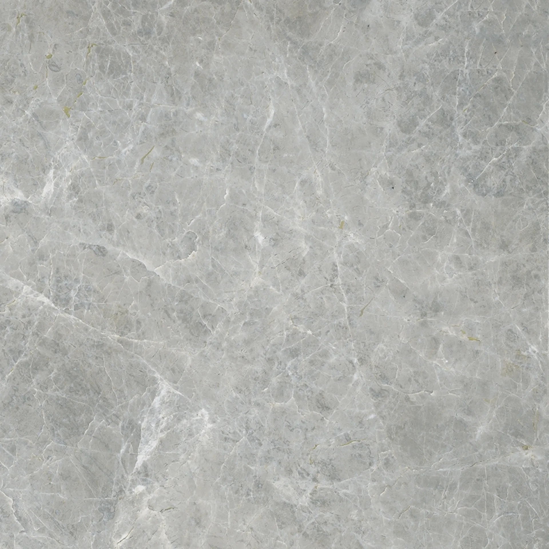 610010005763 Canova Grey Ret 60x60 ColiseumGres