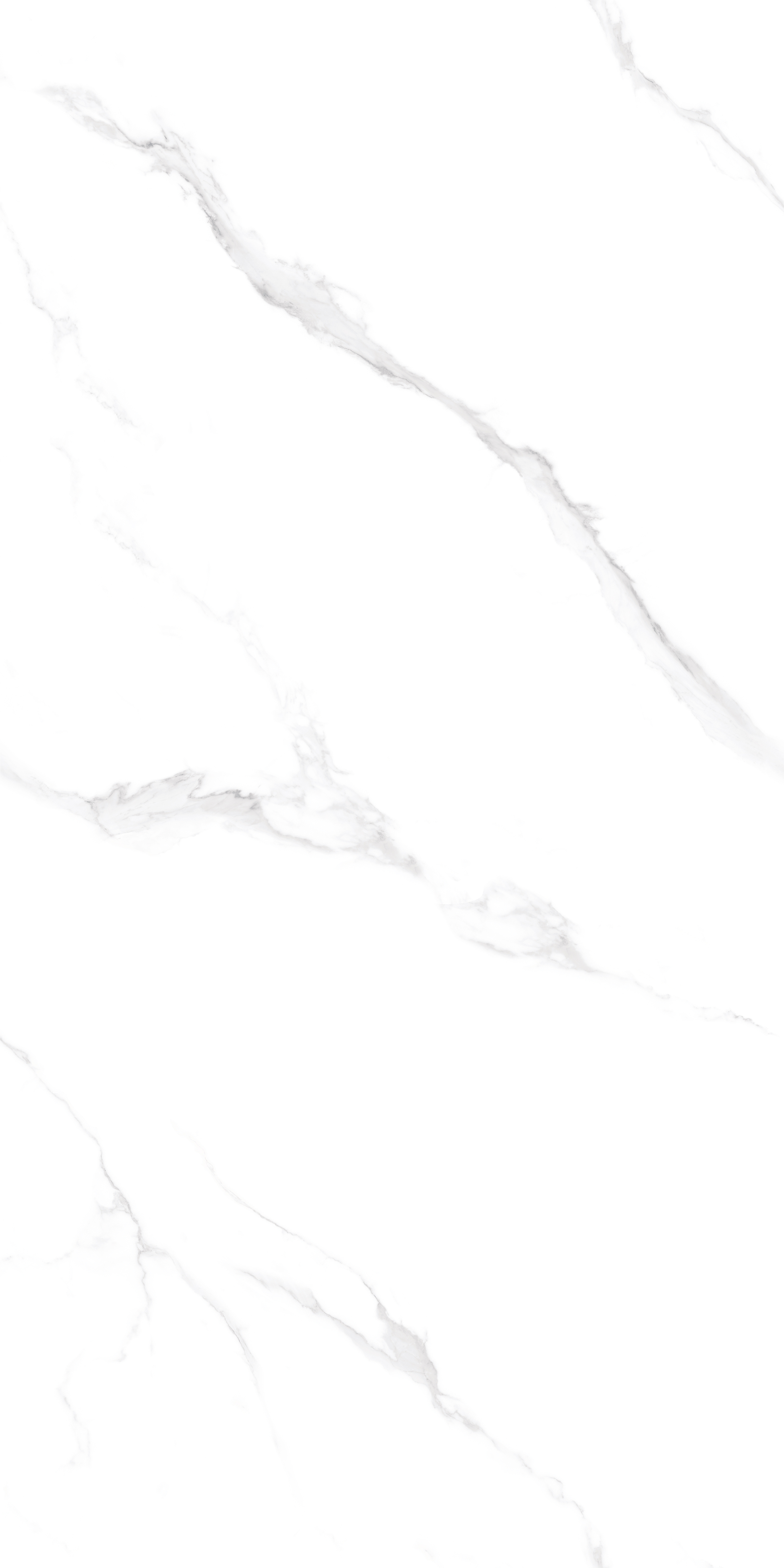 PT12J906 Snow Marble Carving 1200х600х9 Protiles