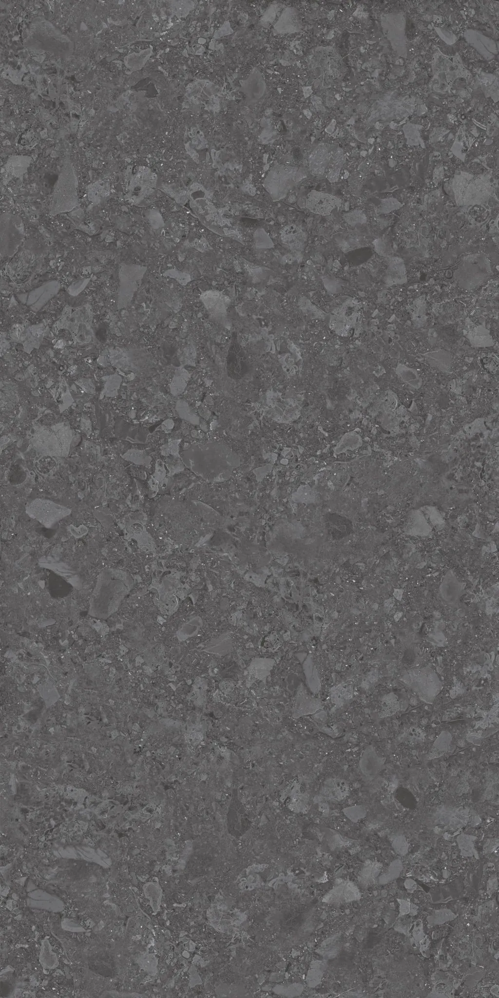469 Stone Dark Grey 60x120 Eurotile Ceramica