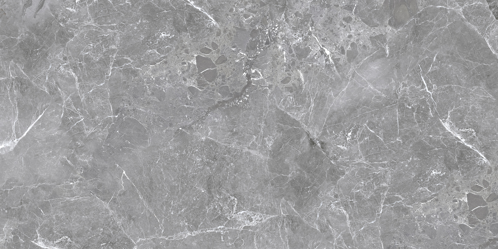 60120GRY25M Greiny Graphite матовый 600x1200x9.5 Delacora