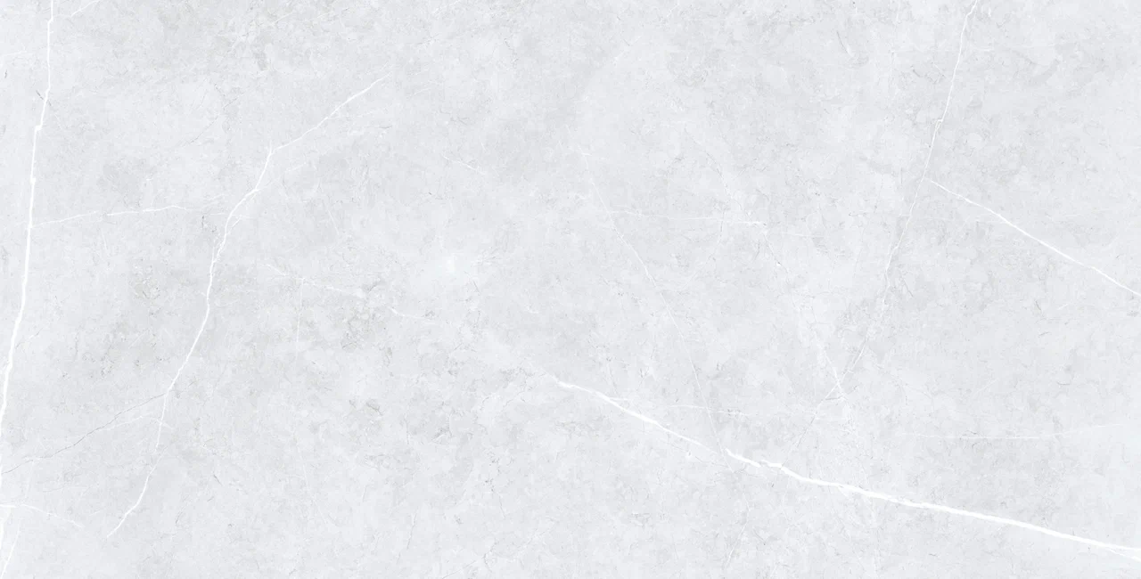 Swindon Grey Polished 60x120 Usak Seramik