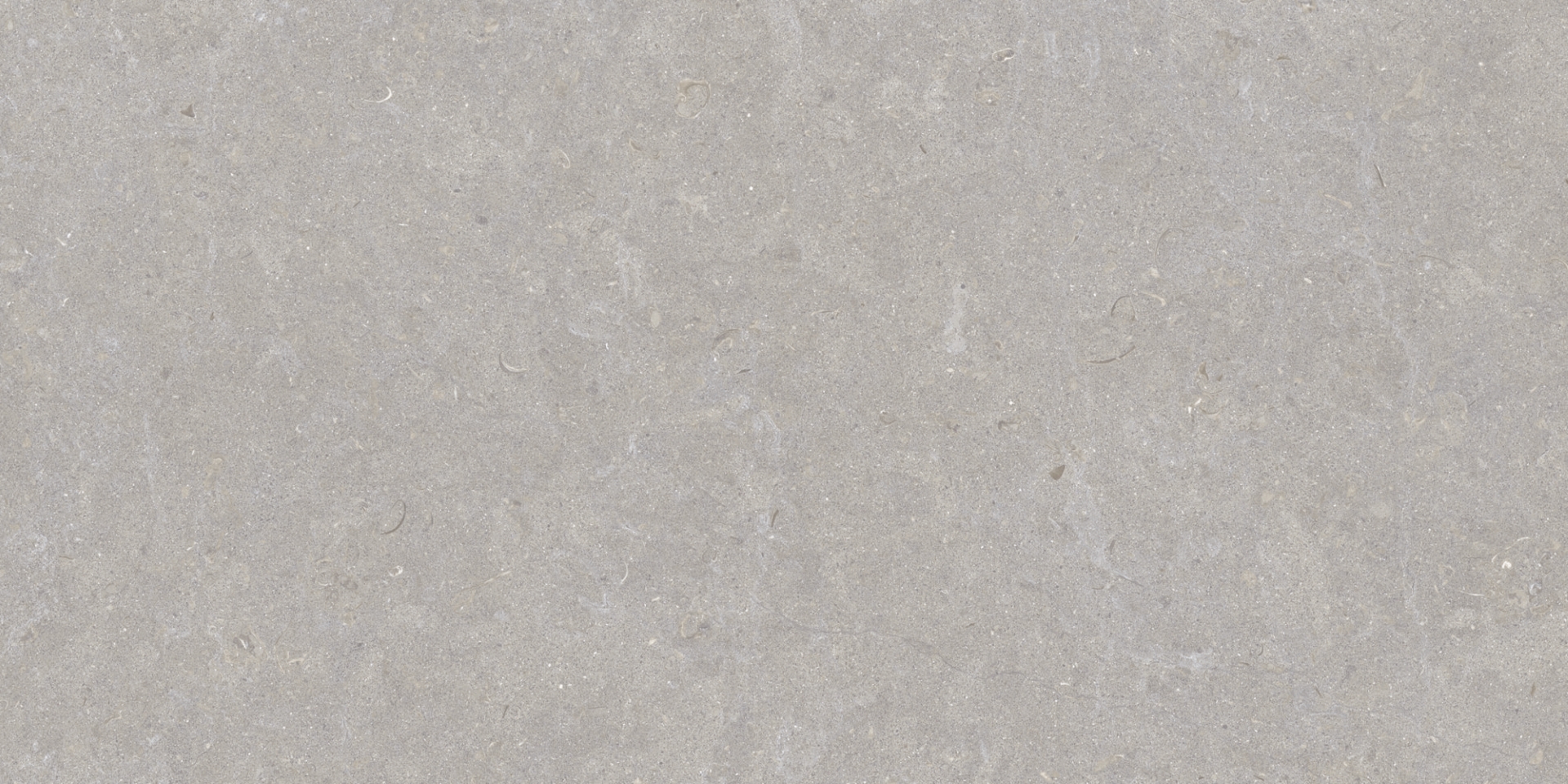 35568 Ghent Grey/50X100X2/A/R 50x100 Peronda фото 14