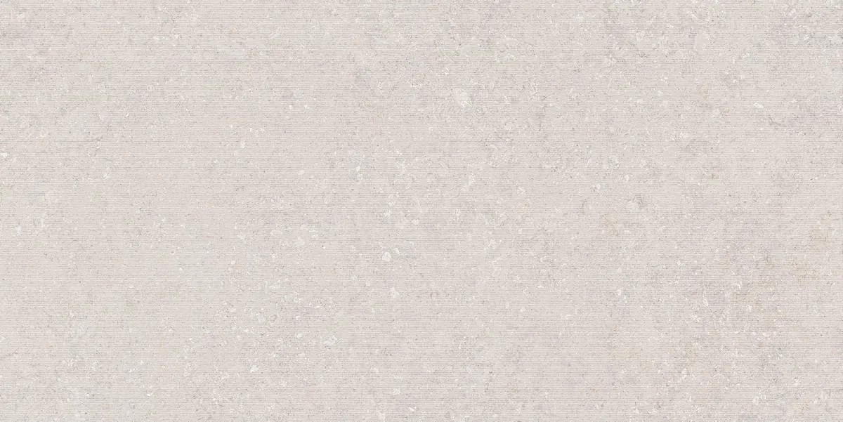 N120037 Венти Машрум Линеа Матовая 60x120 Neodom фото 2