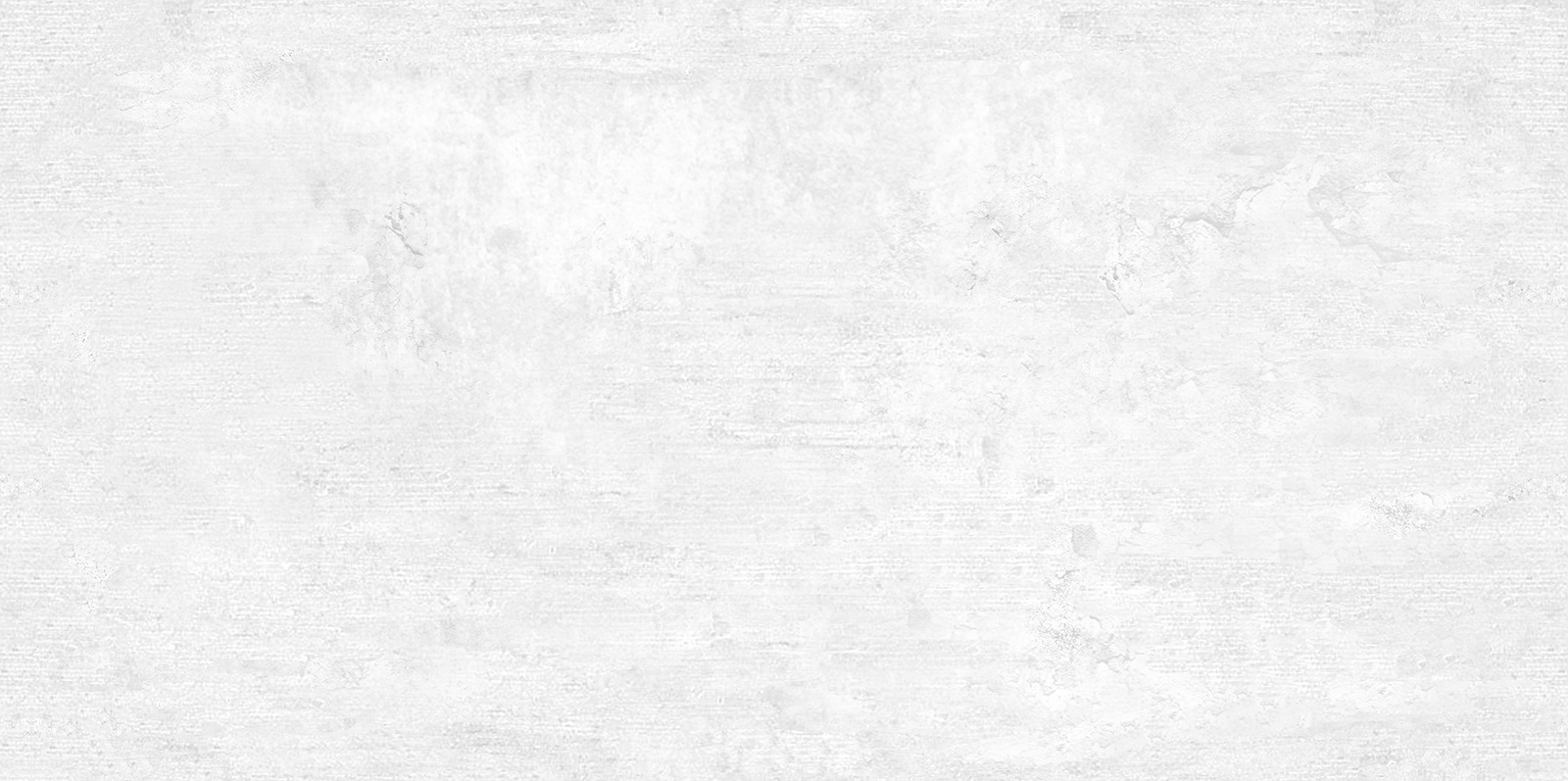 WT9BTN00 Beton Gray 24.9х50 AltaCera