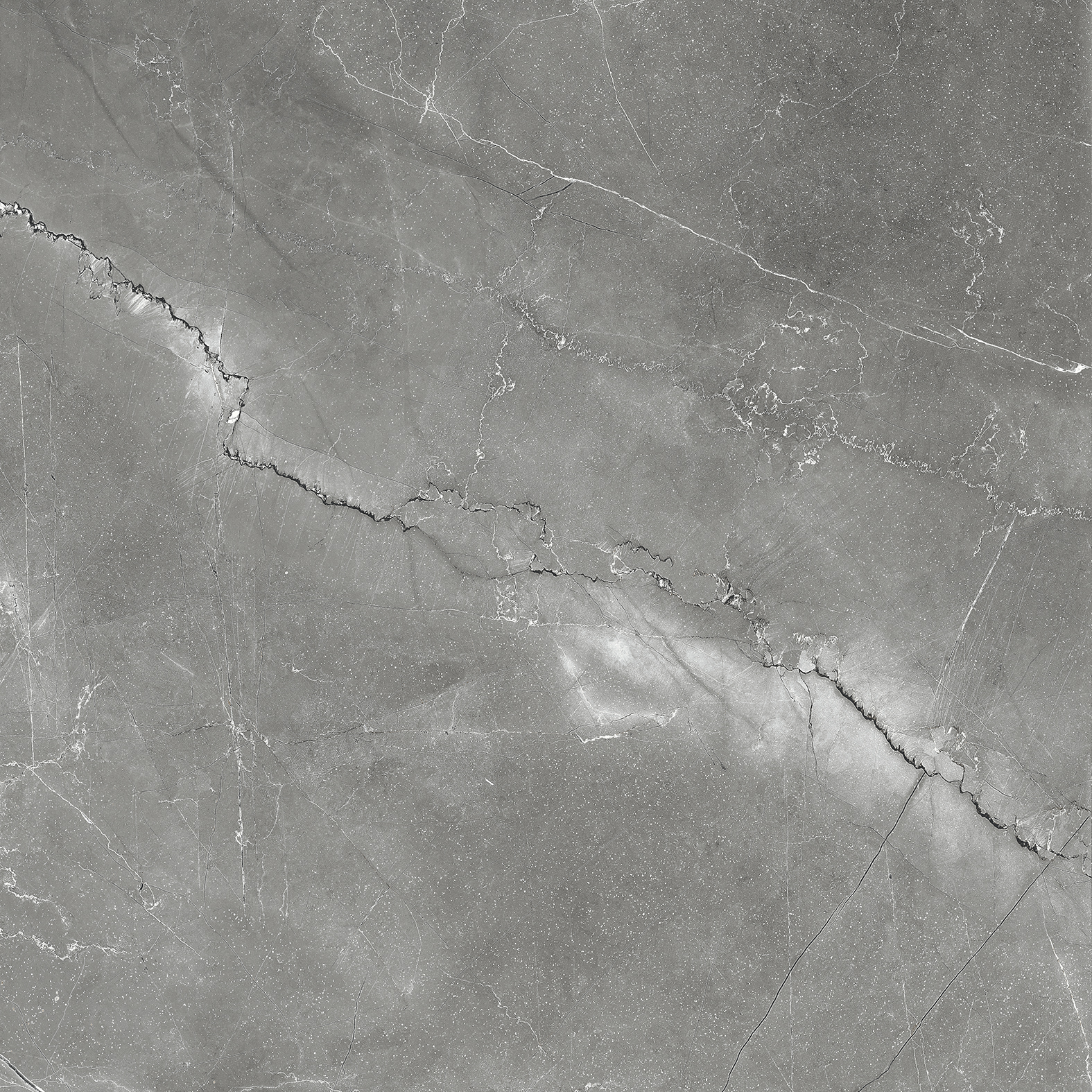 CR6011-A Pulpis Nero Carving 60x60 Arcadia Ceramica фото 4