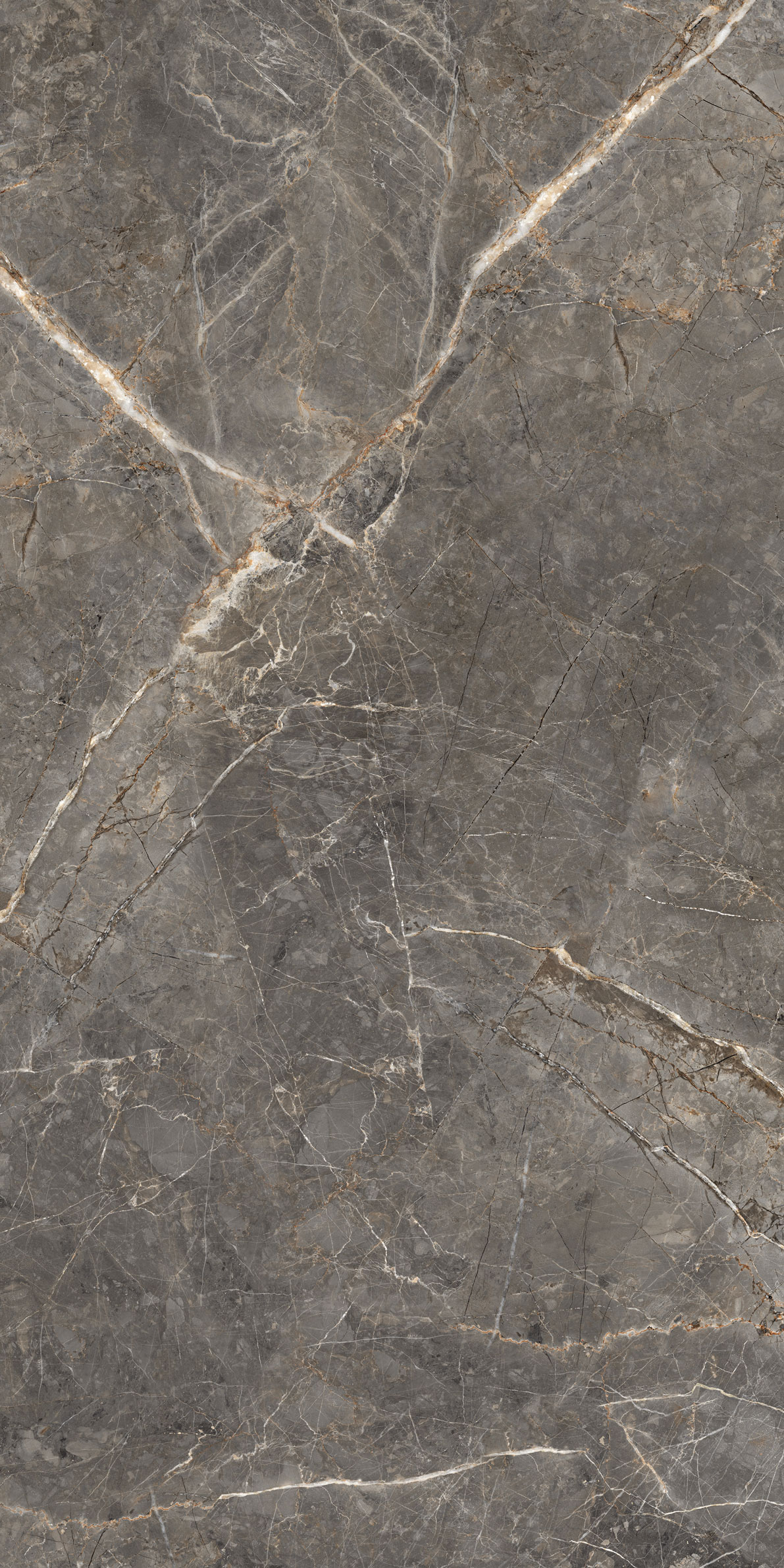 GT1206023109MGR Salsa Темно-серый 60x120 Global Tile фото 9