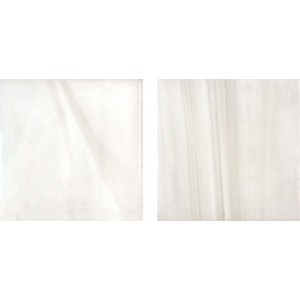 05-129 2x2 JNJ Mosaic
