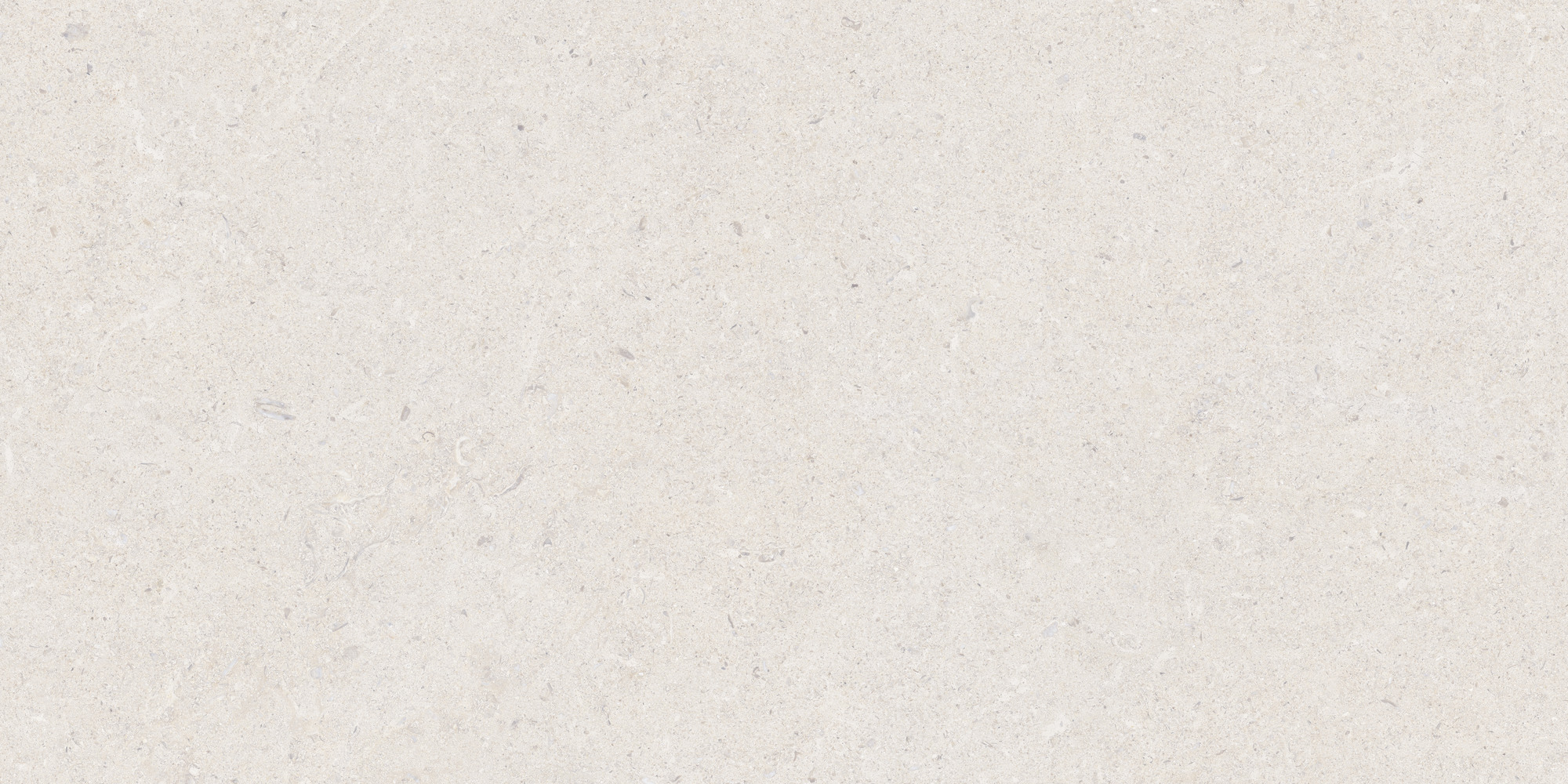 Calcare White 60x120 TAU Ceramica фото 9