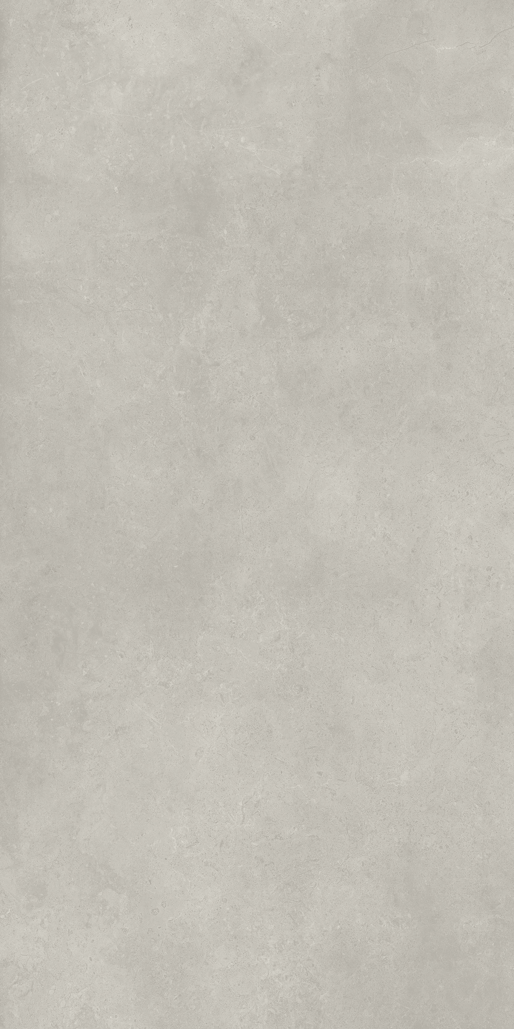 610010004099 Fossil Grey Nat Ret 60x120 Italon фото 2