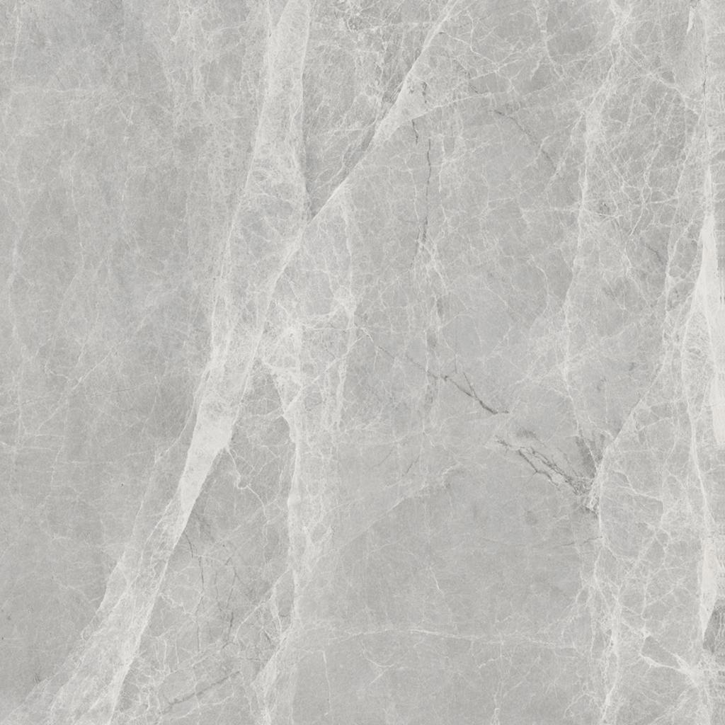 Worner GREY 60x60 Bluezone