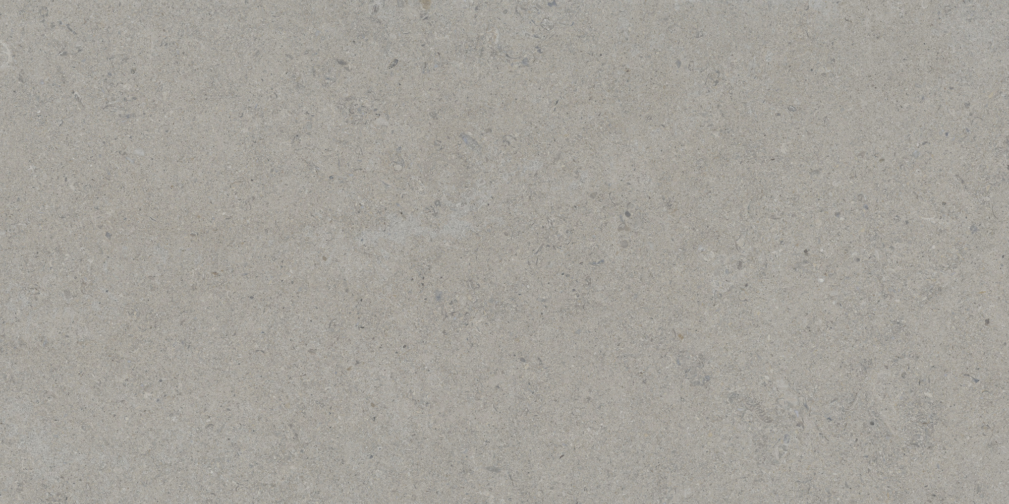 Calcare Silver 60x120 TAU Ceramica