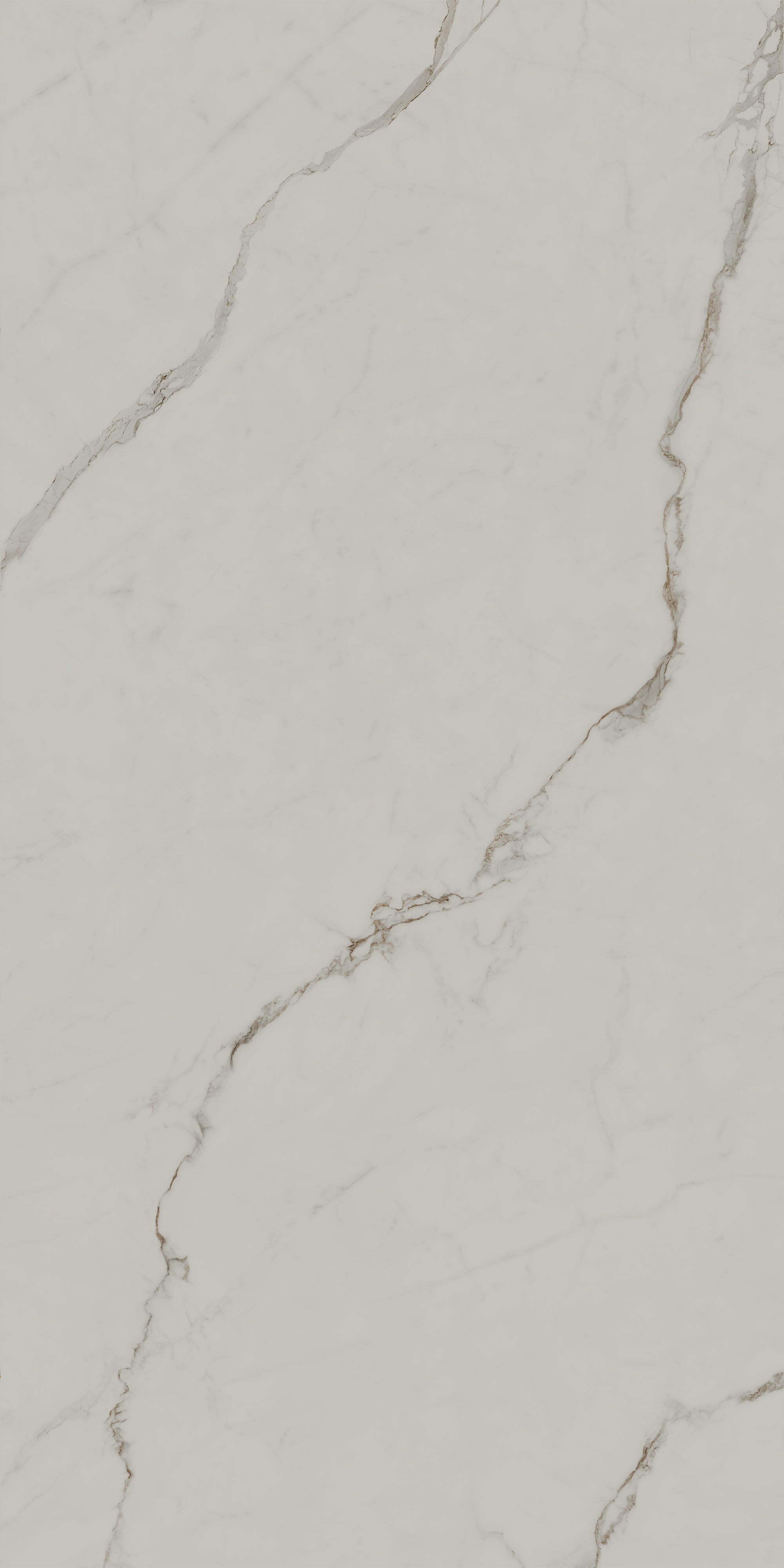 SG572290R Монте Тиберио бежевый светлый матовый обрезной 80x160x0,9 Kerama Marazzi