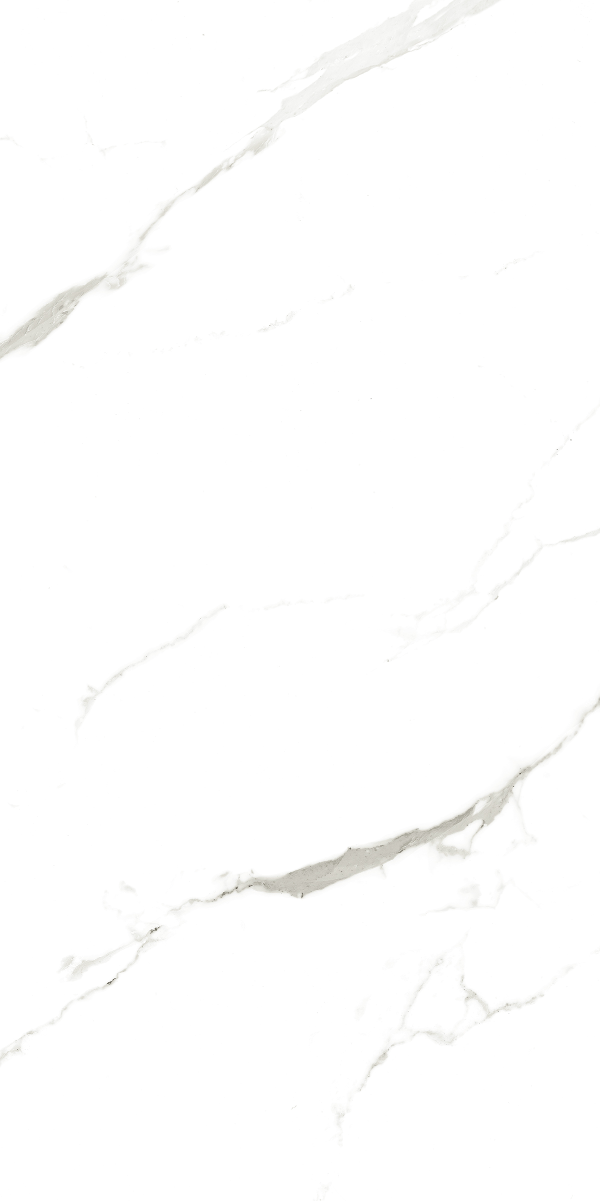 902 Vena Fine Statuario 120x60 Artcer