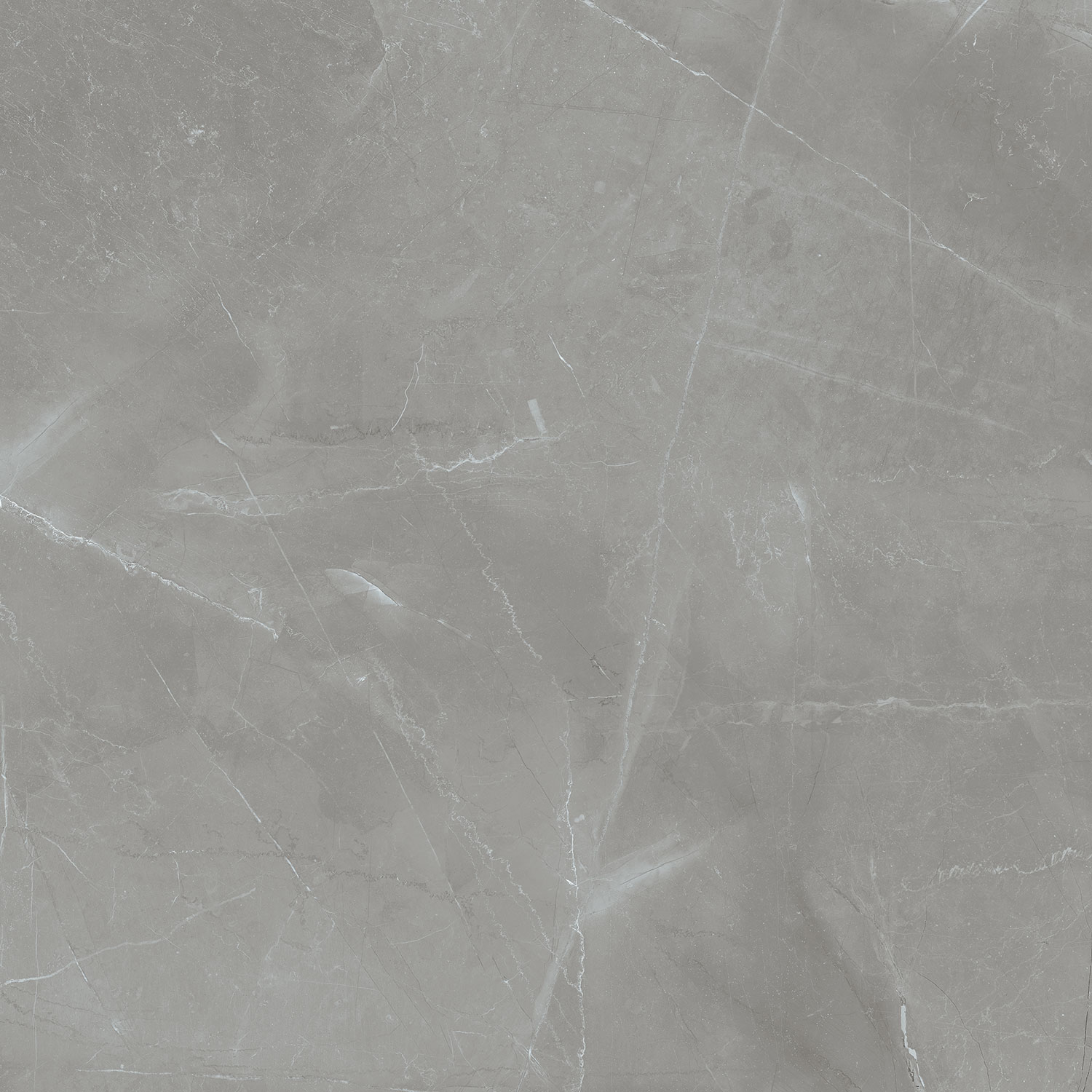 Grey Pulpis POL 59,8x59,8 Tubadzin фото 4