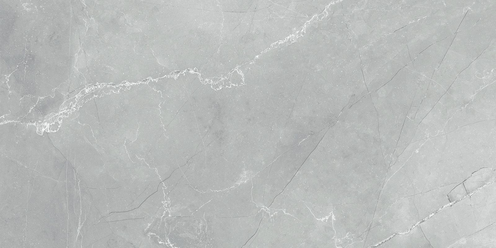 60120AMB15P Armani Marble Gray 60x120 LCM