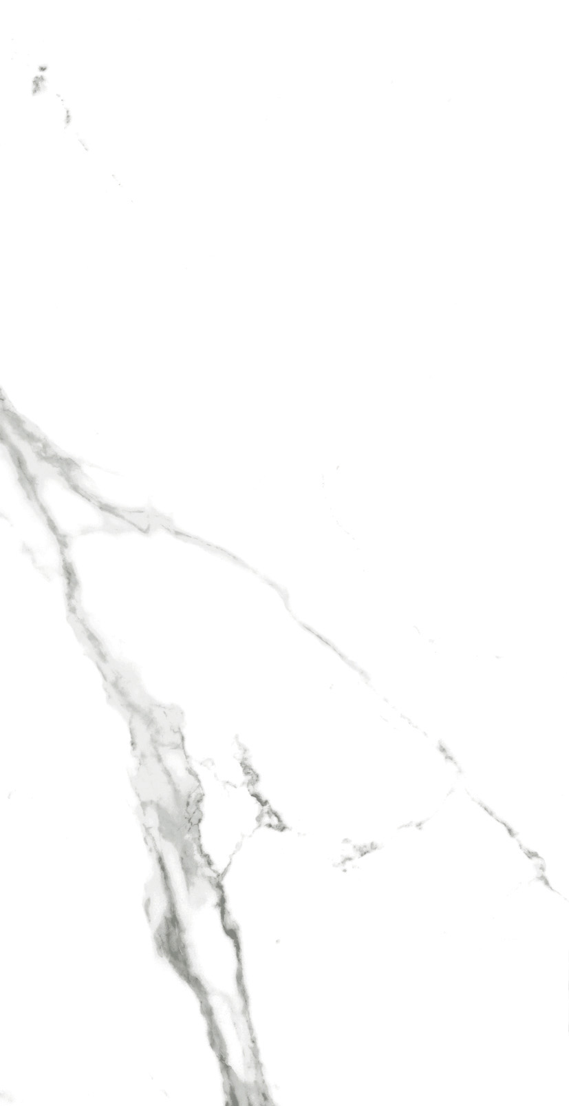 Carrara X Satin 60x120 Realistik