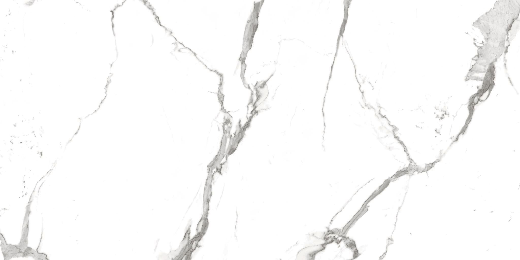 R_PR2001 Alps Statuario Polished 60x120 Royce