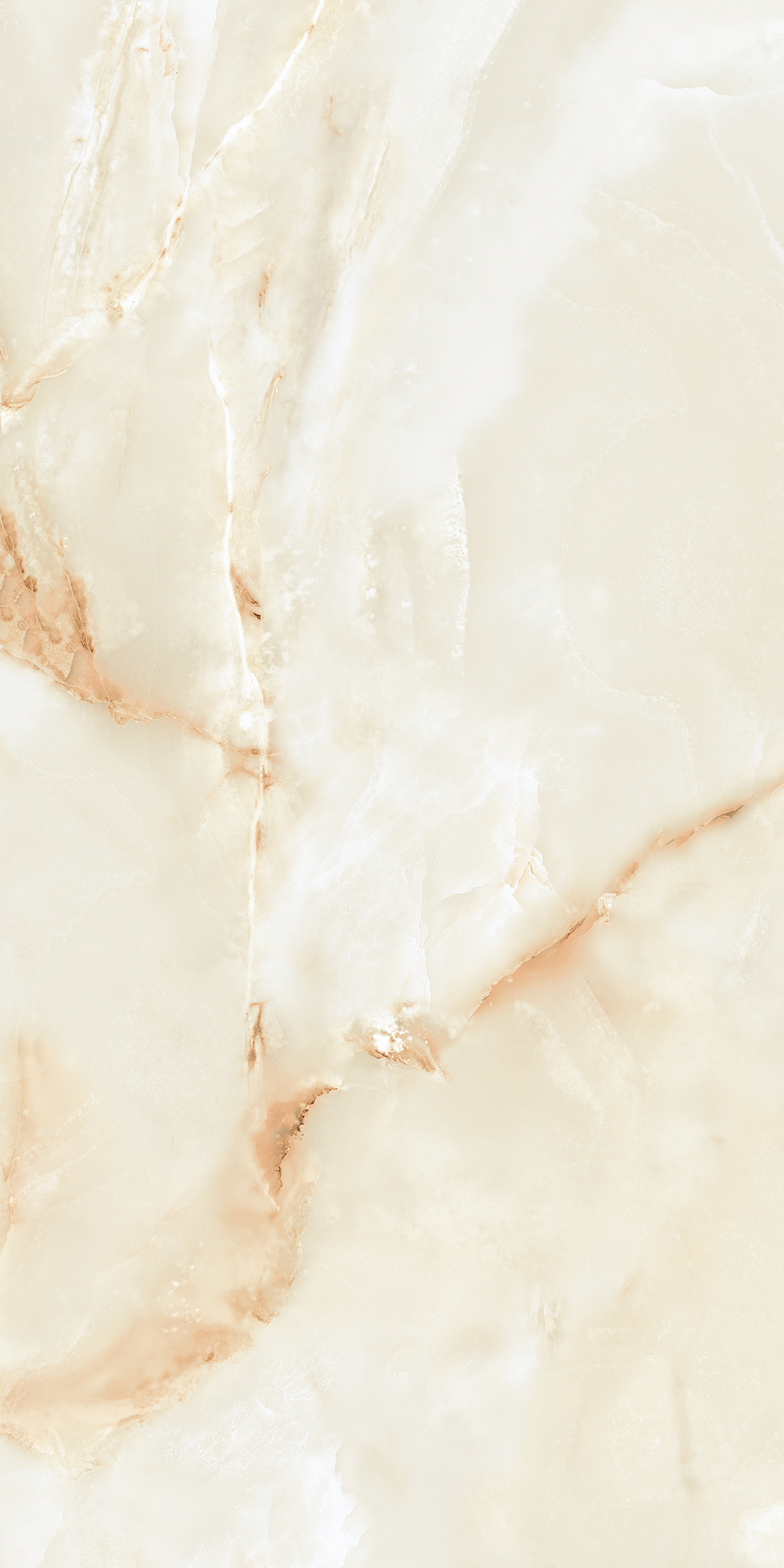 904 Persian Beige 120x60 Artcer