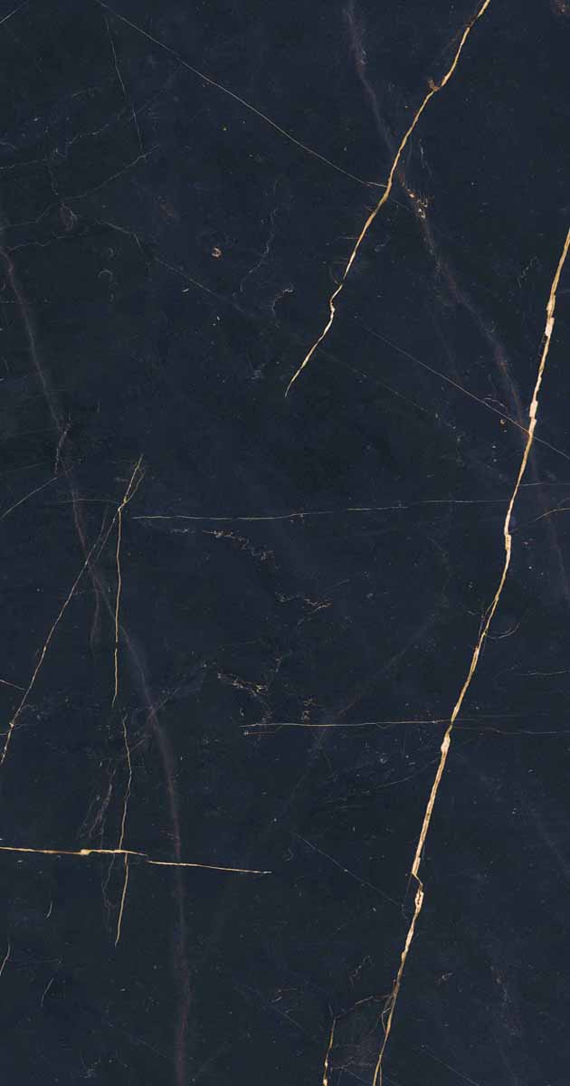 PF60011003 Precious Black Lux Ret 60x120 ABK