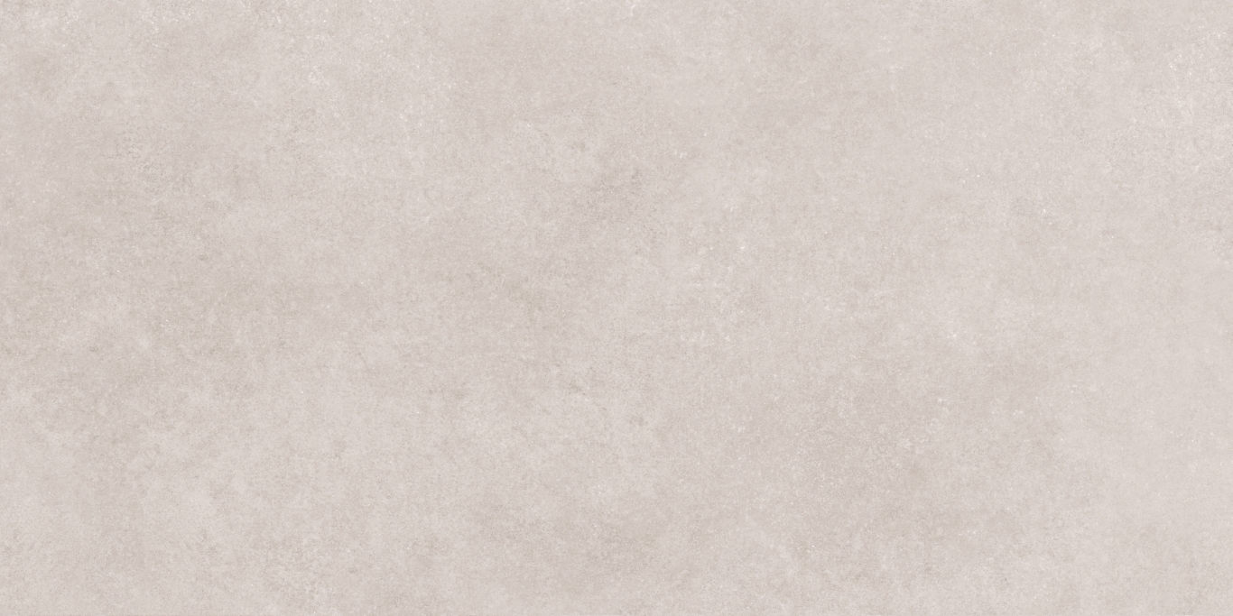 17533 Still светло-серый ректификат 60x120 Meissen
