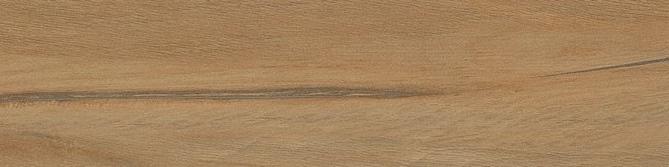 Leccio Oliato 10x40 Serenissima Cir