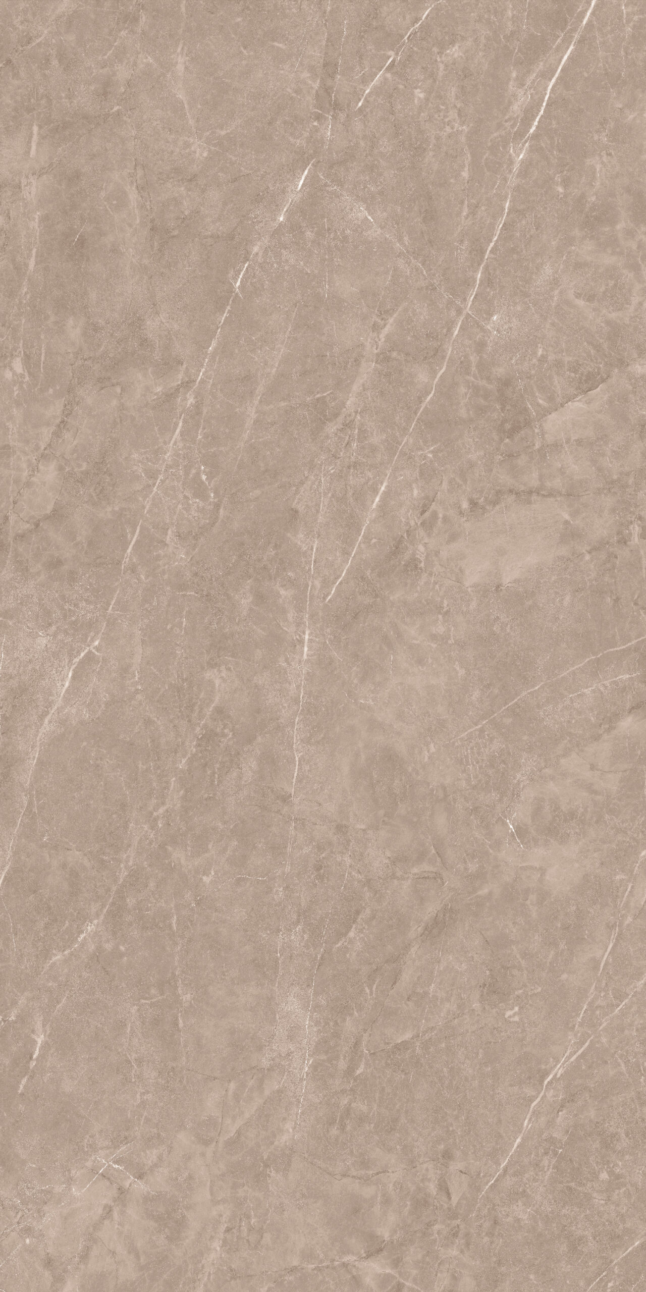 Prelino Brown Matt Punch 60x120 Maimoon Ceramica